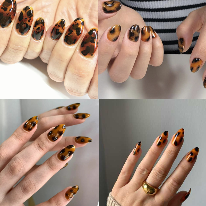 1 rolo 100cm * 4cm tartaruga e - Nail Art Zebra avaliação e preço